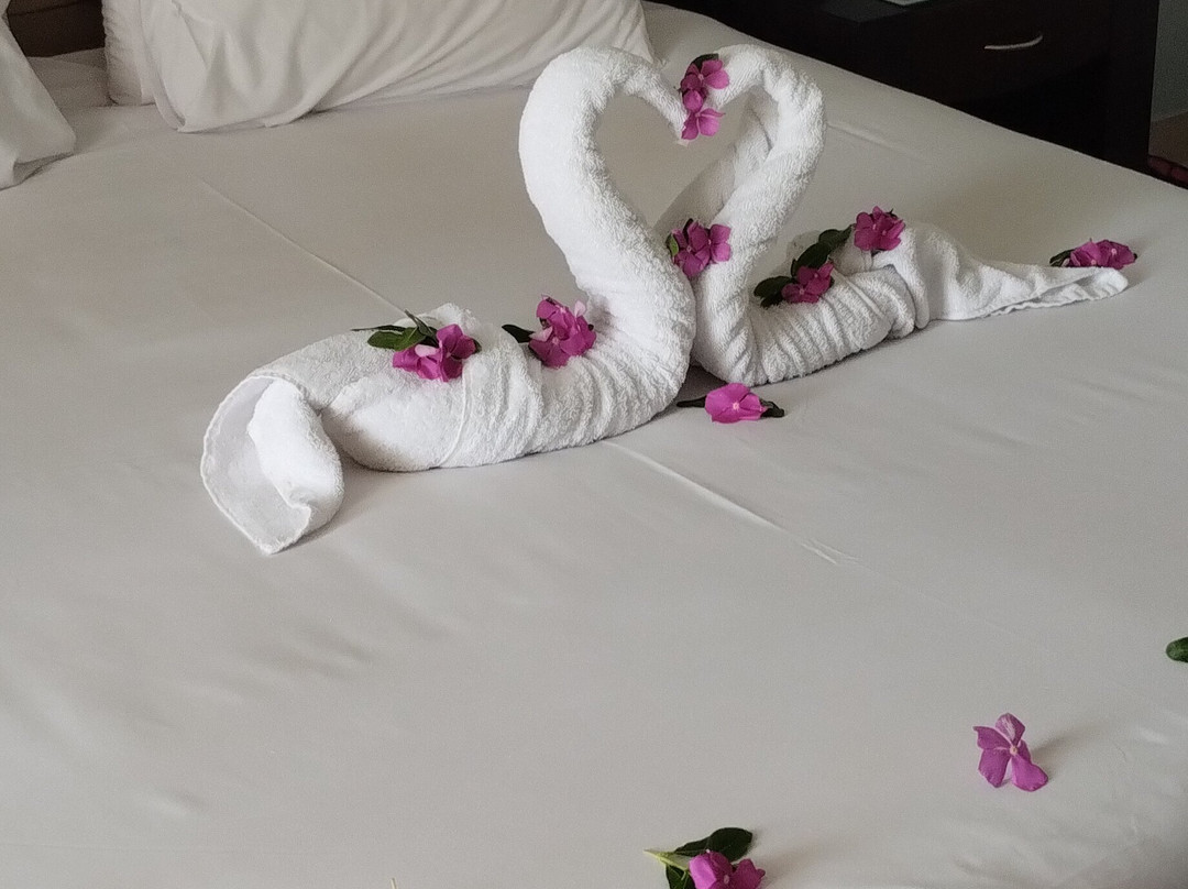 Sentido Akassia beach - All inclusive主图