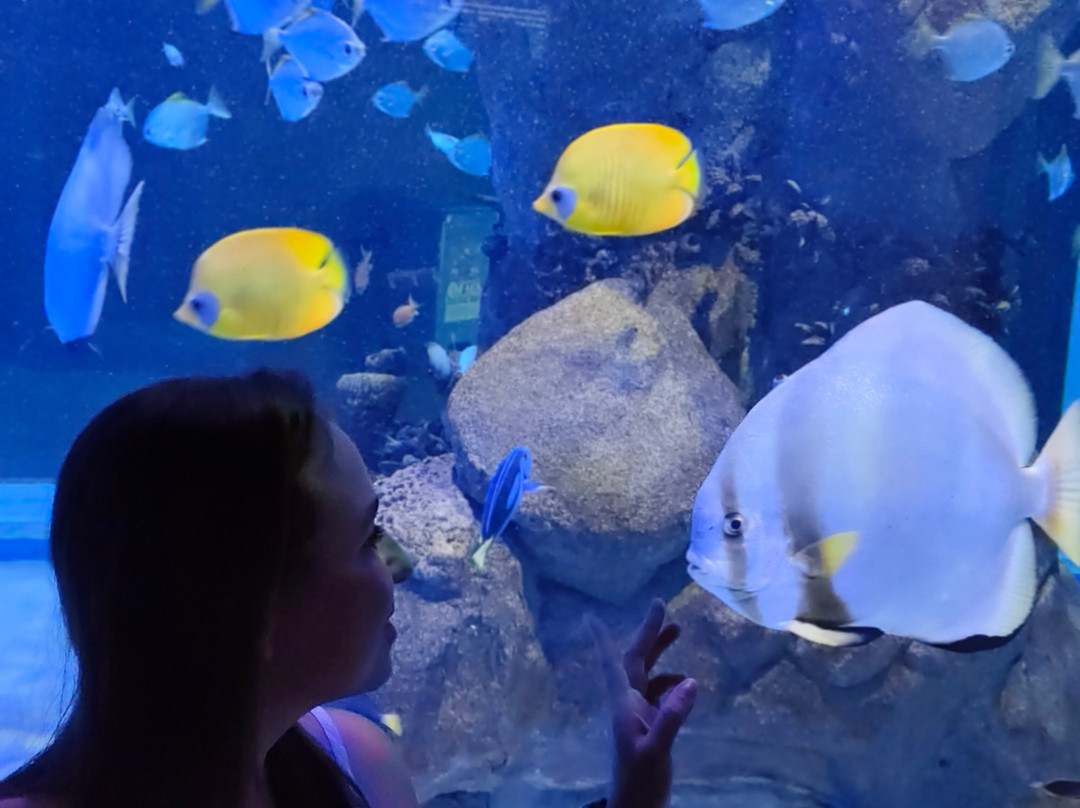 AquaRio-里约热内卢必去景点