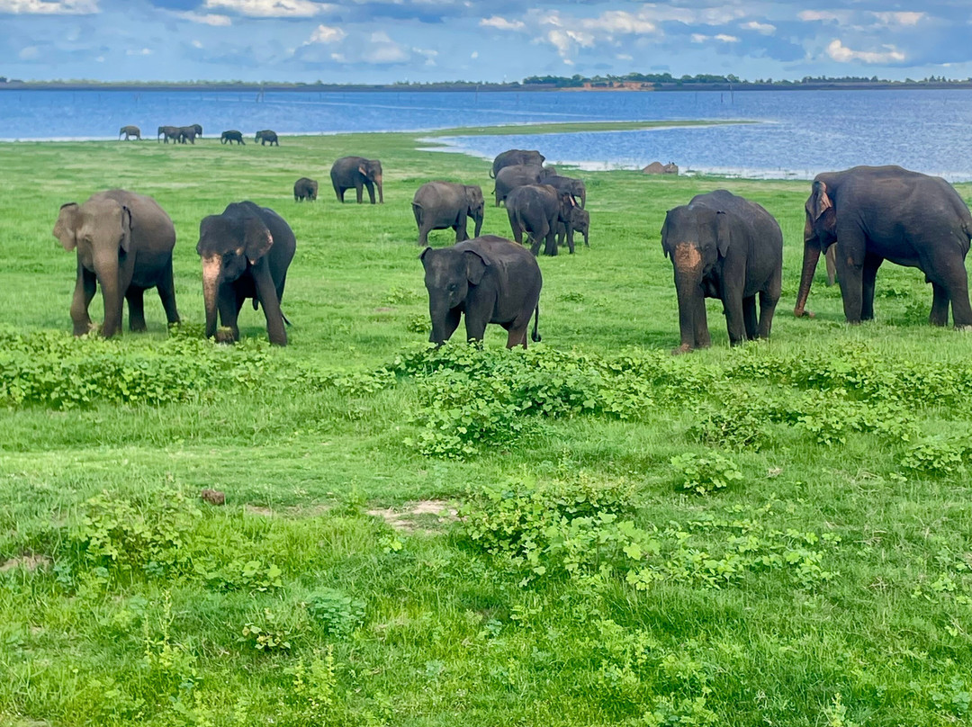See Lanka Travels-Waikkal必去景点