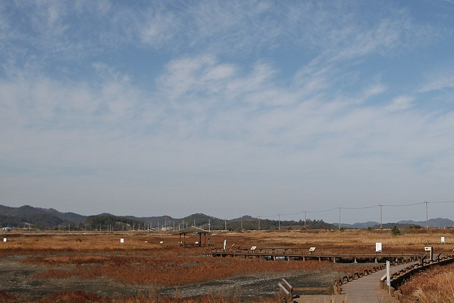 Taepyeong Yeomsaeng Botanical Garden-新安郡必去景点