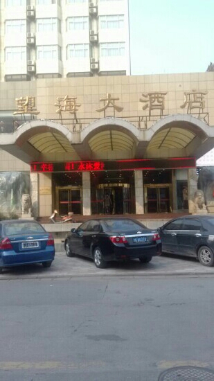 望海大酒店-客卧