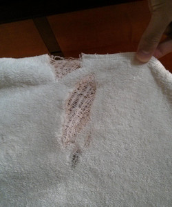 哈姆拉珊瑚套房及酒店酒店图片