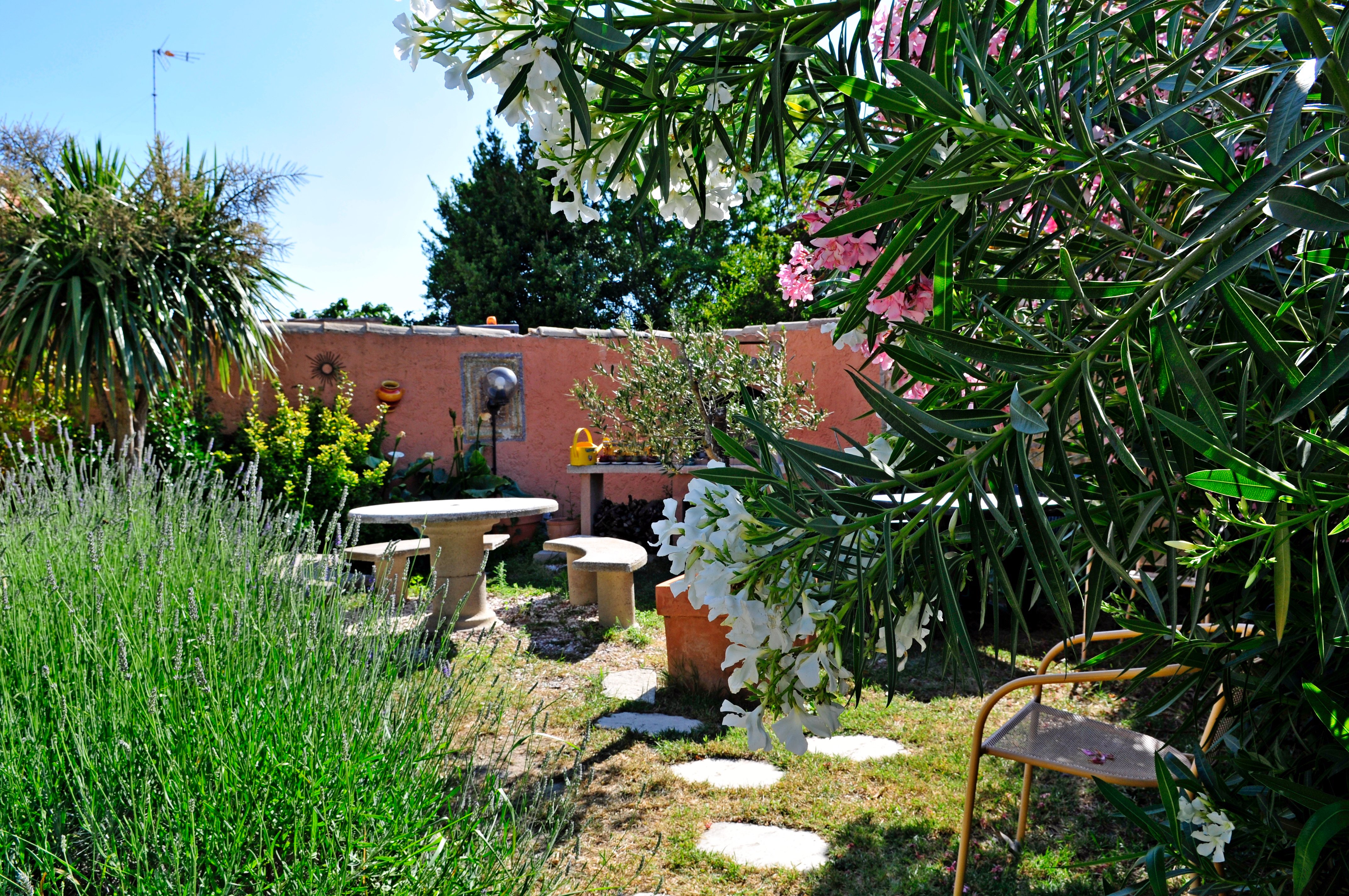 Maison des Croisades-官方