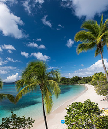 Caneel Bay Resort酒店图片