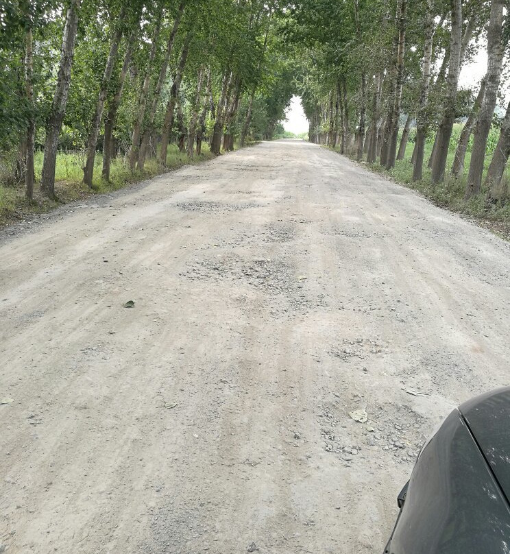 新立湖国家水利风景区