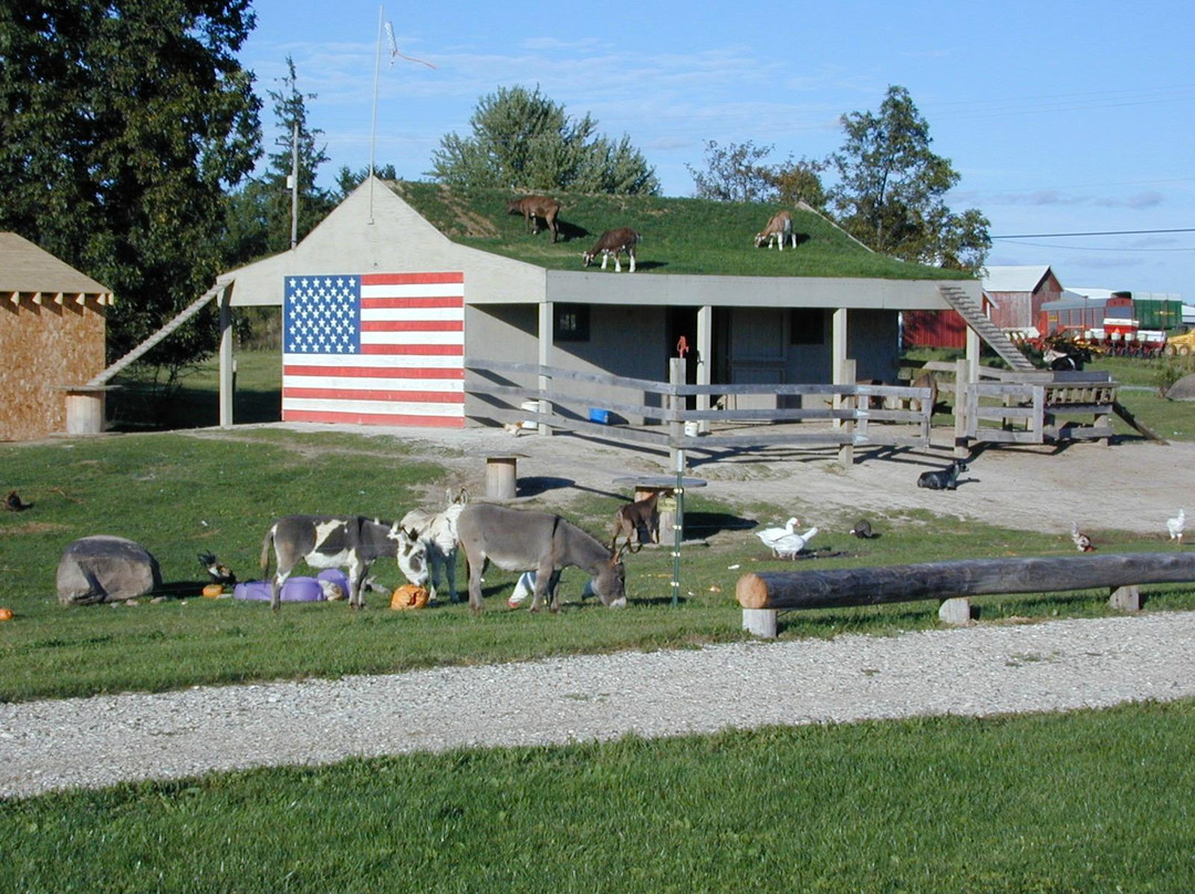 North Lake旅游景点-Homestead Animal Farm