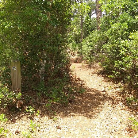 Lake Proctor Wilderness Area-Geneva必去景点