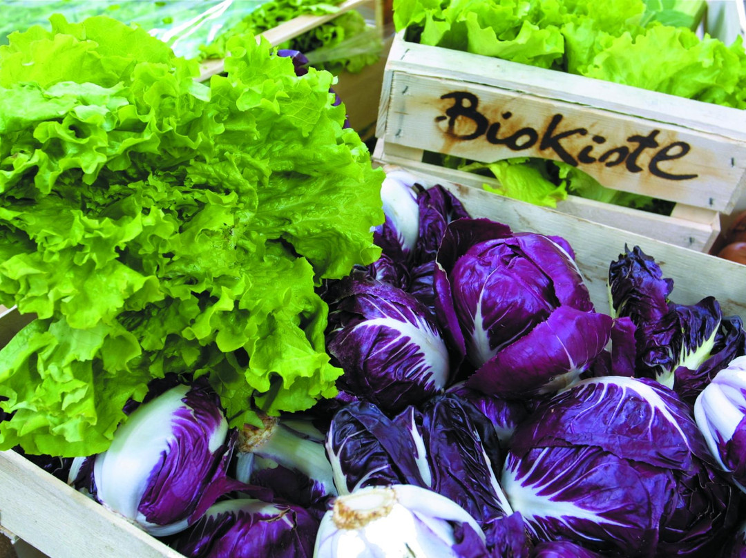 Sinigo旅游景点-Biokistl Sudtirol