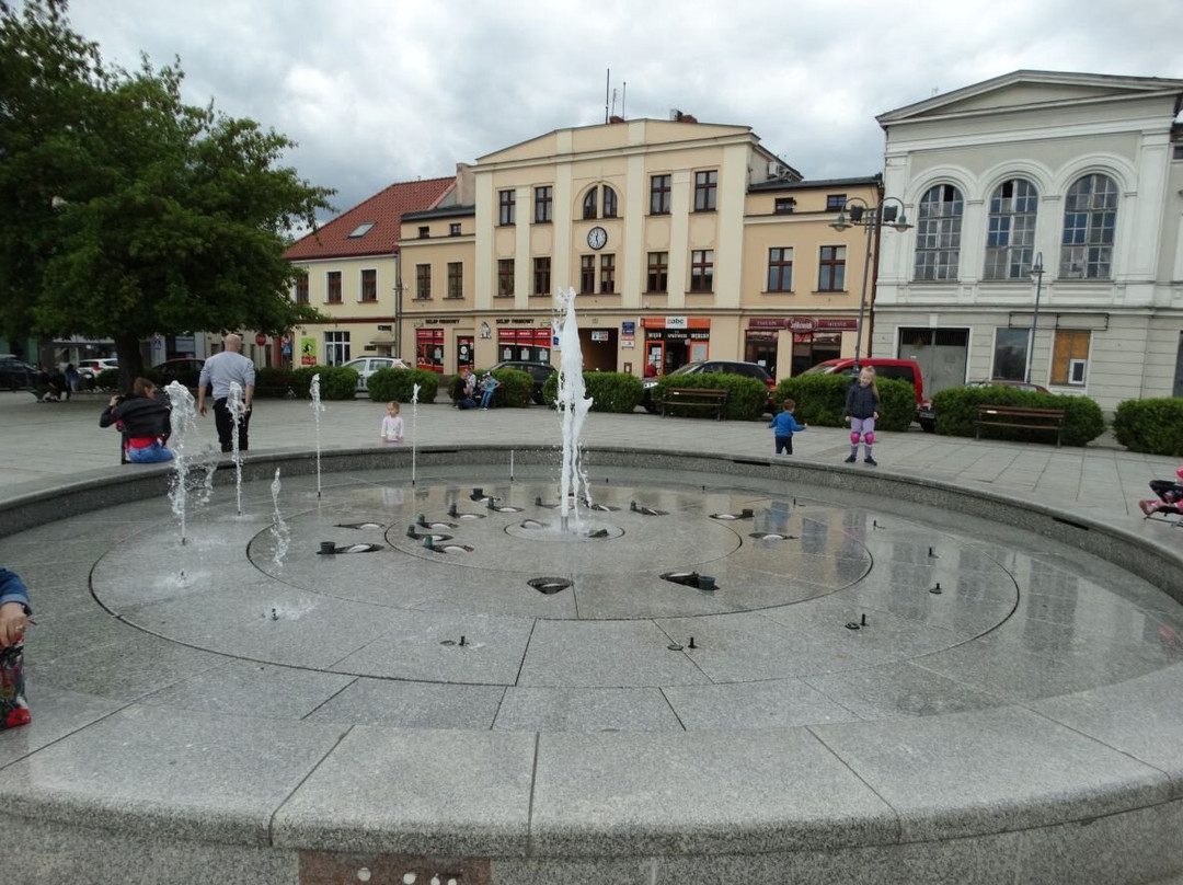 Wagrowiec Fountains景点图片