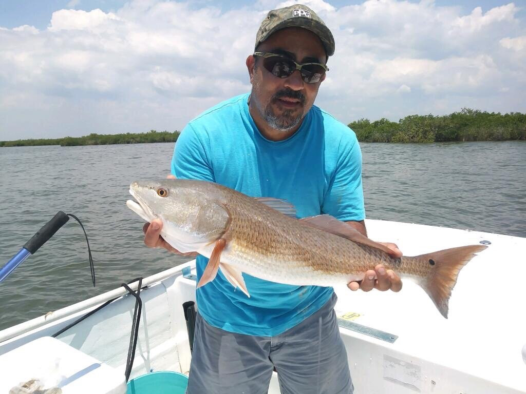 Saltface Charters-Homosassa Springs必去景点