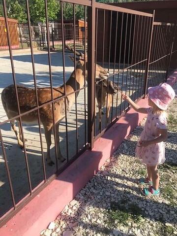 Farm Ishachok-Maloye Sadovoye必去景点