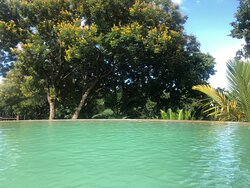 Amafu Forest Lodge-泳池