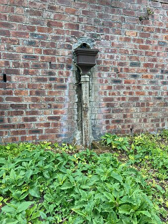 Inveresk Lodge Gardens景点图片