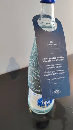 欧洲之星莱克斯酒店-客卧