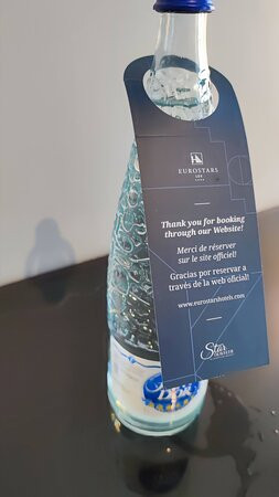 欧洲之星莱克斯酒店主图