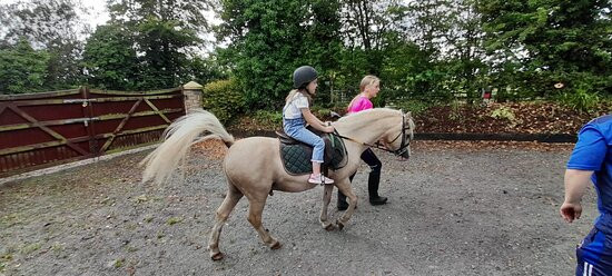 Mullaghmore Equestrian Centre Limited景点图片