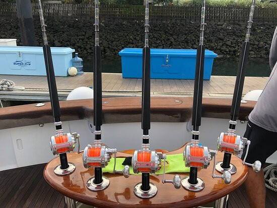 Maverick Sportfishing Charters景点图片