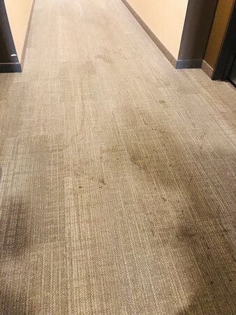 Comfort Suites Marysville主图