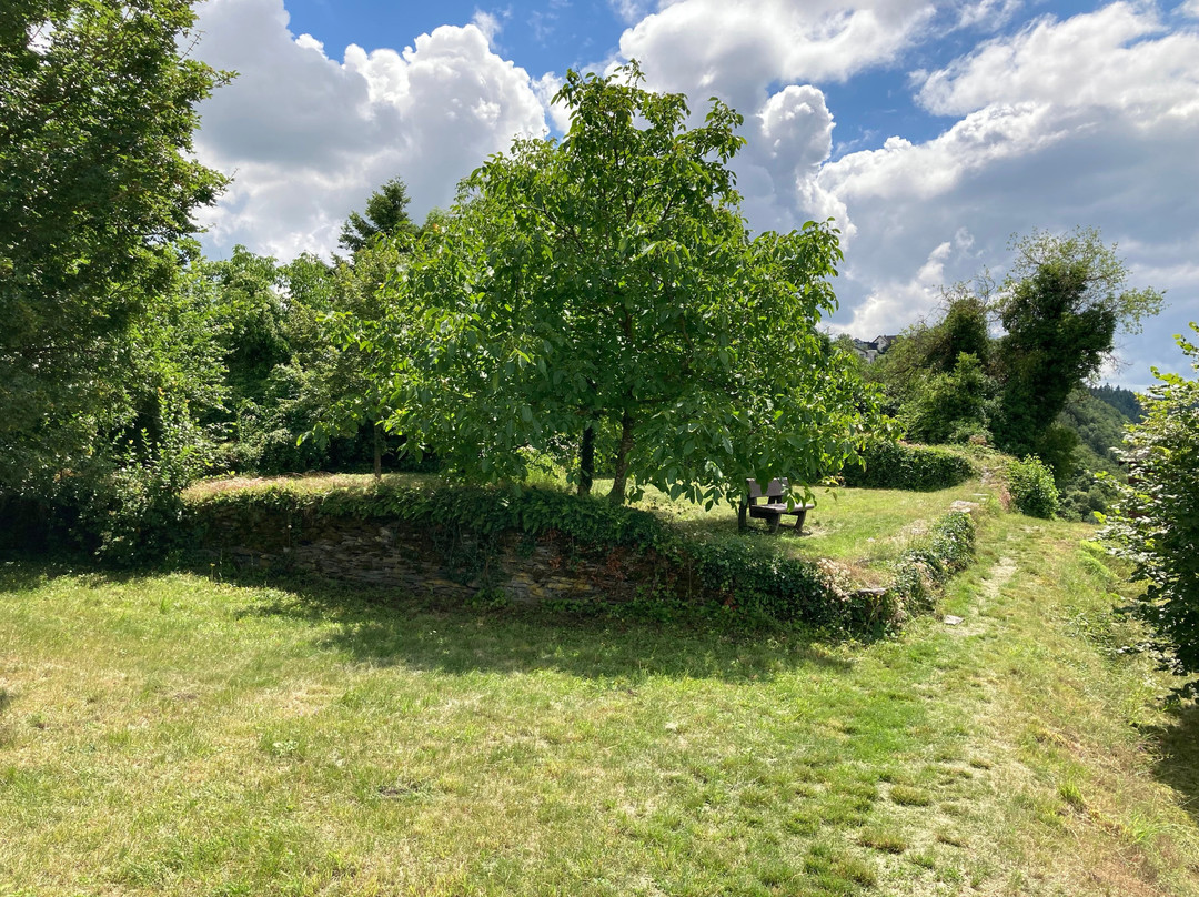 Burgruine Starkenburg