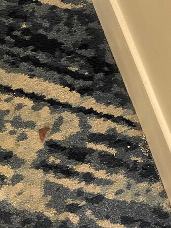 劳德代尔堡W酒店主图