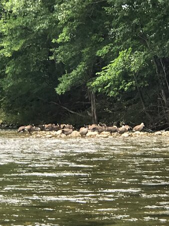 Battenkill Valley Outdoors-Cambridge必去景点