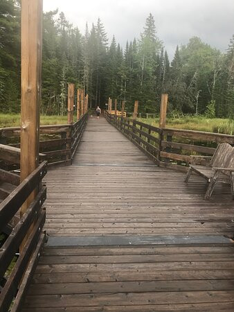 Beaver Pond Trail-Mactaquac必去景点
