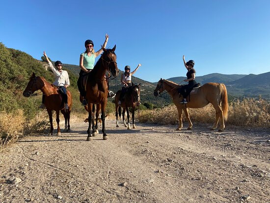 Ippos Horse Riding and Excursions景点图片