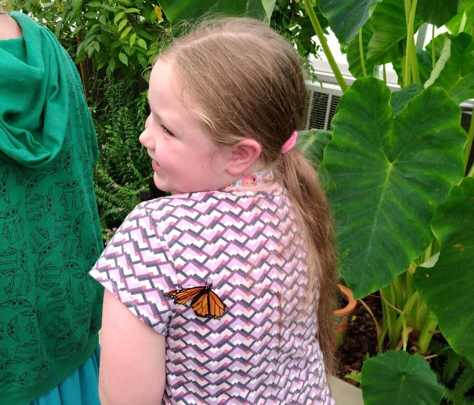 Dahlonega Butterfly Farm-达洛尼加必去景点