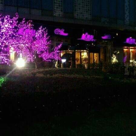 紫来轩(九龙锦江店)