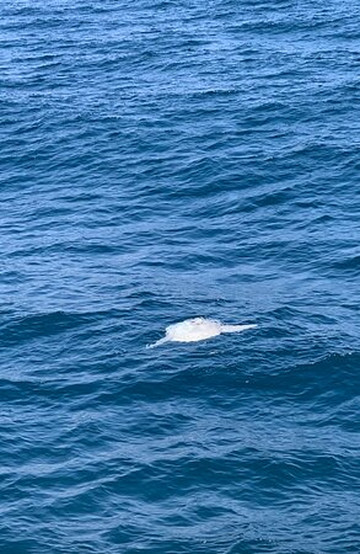 Costasol Cruceros-班纳玛德纳必去景点