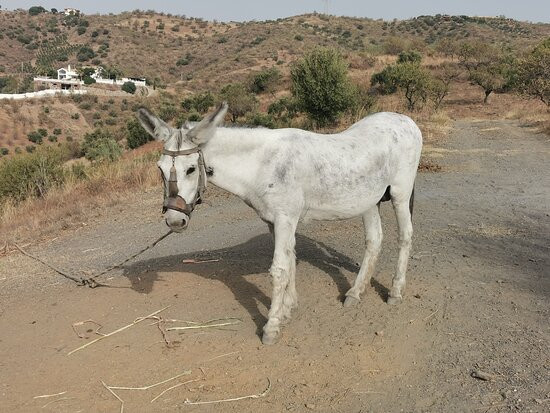 Gr 249 Senda Litoral-Rincon de la Victoria必去景点