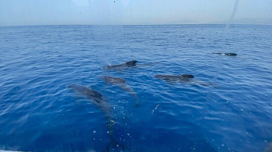 Turmares Tarifa-塔里法必去景点