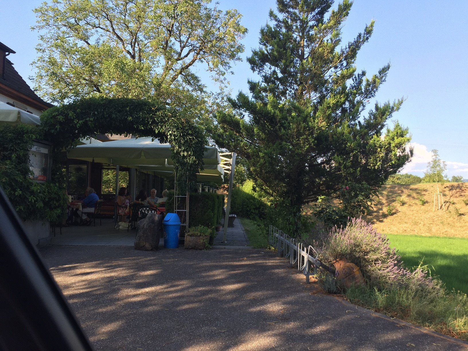 Landgasthof Kinzigstrand-餐饮