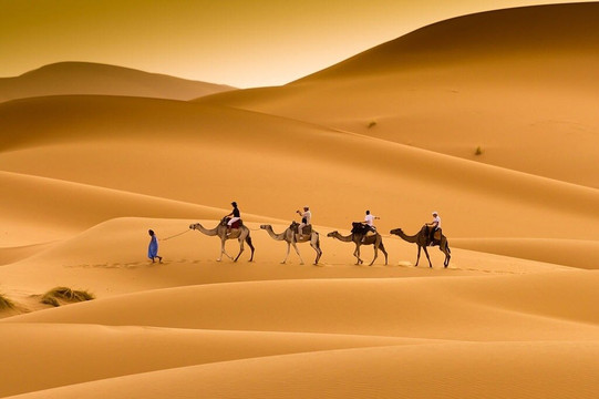 Morocco Trip-非斯必去景点