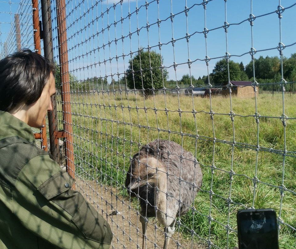 Moscow Region Safari Park景点图片
