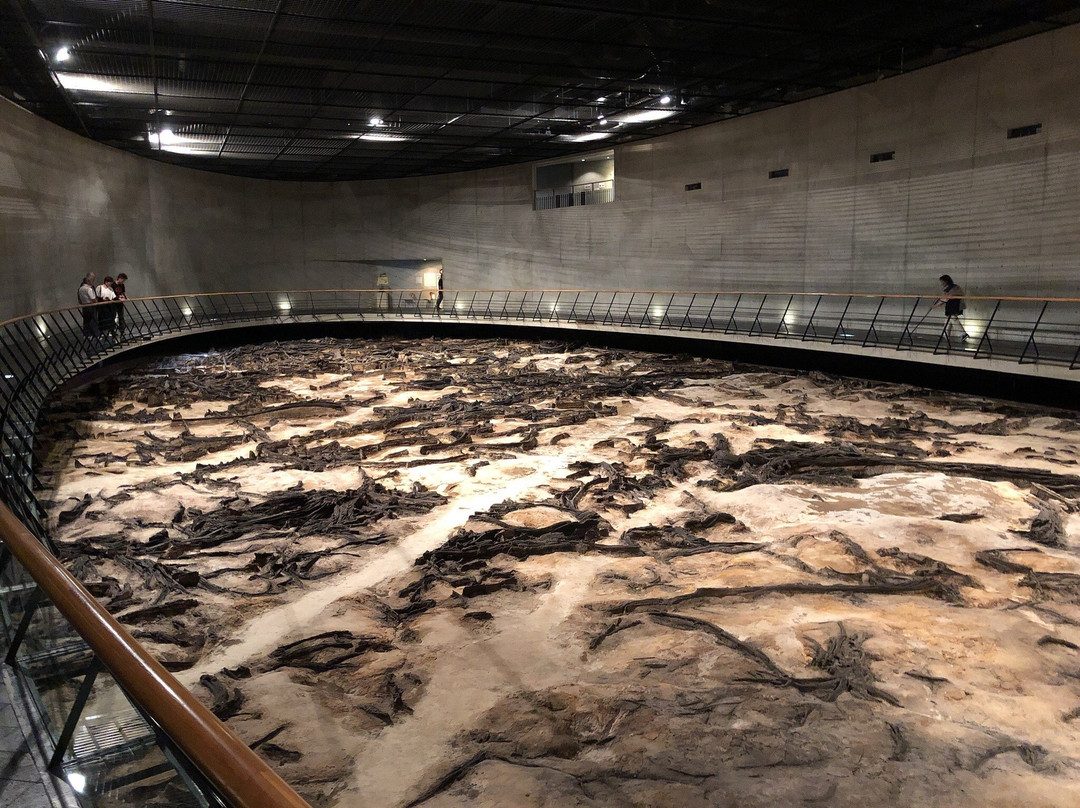 Chiteinomori Mueum-仙台市必去景点