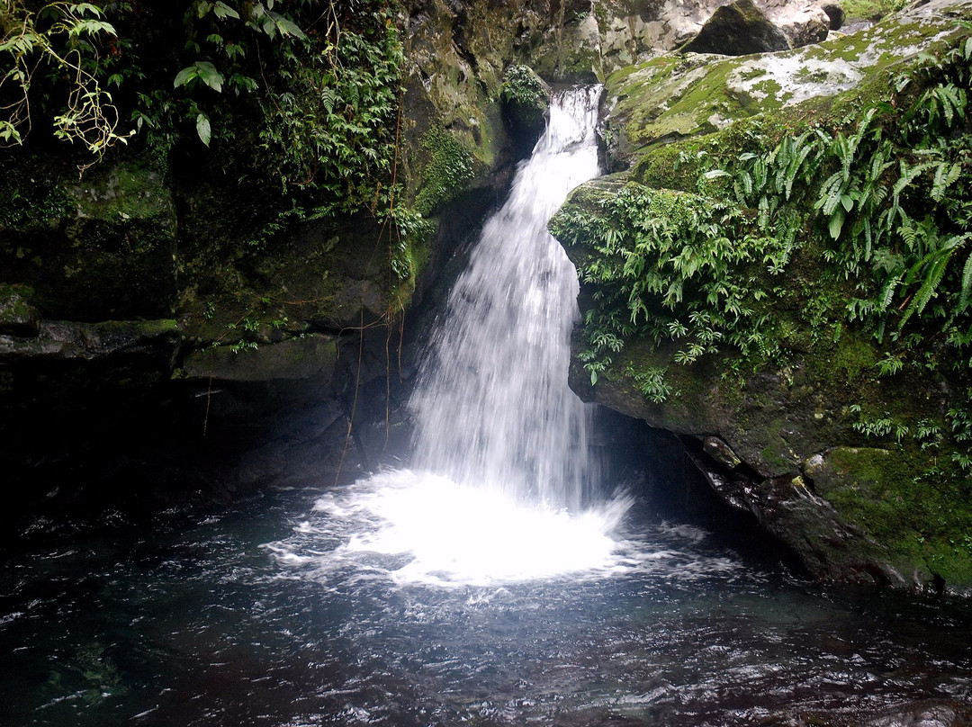 Bukal Falls景点图片
