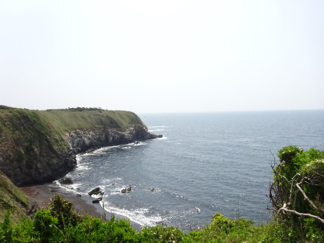 三浦市旅游攻略图片