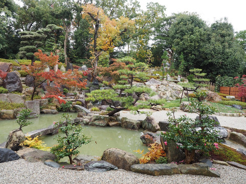 丰明市旅游攻略图片