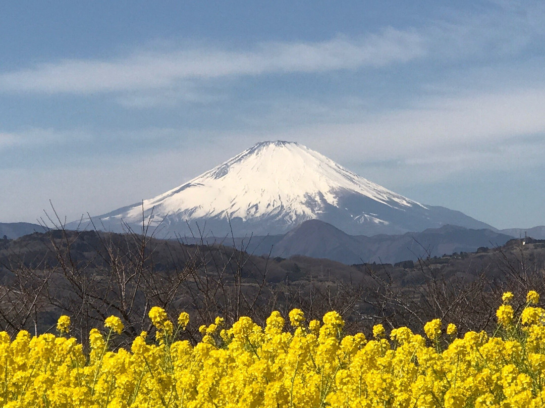 中郡旅游攻略图片