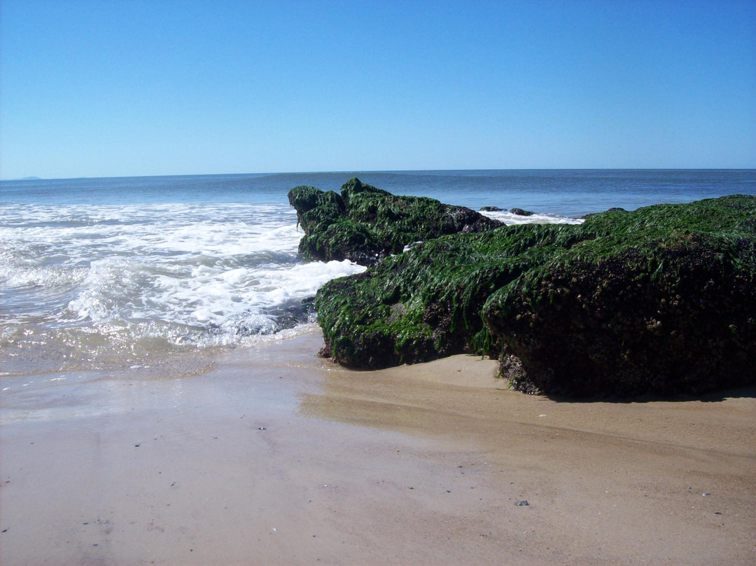 Canelones Department旅游攻略图片