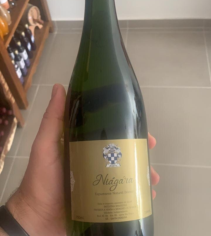 Vinícola e Cachaçaria Família Quadros-Ita必去景点