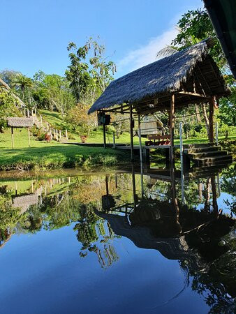 Yarina Eco Lodge主图