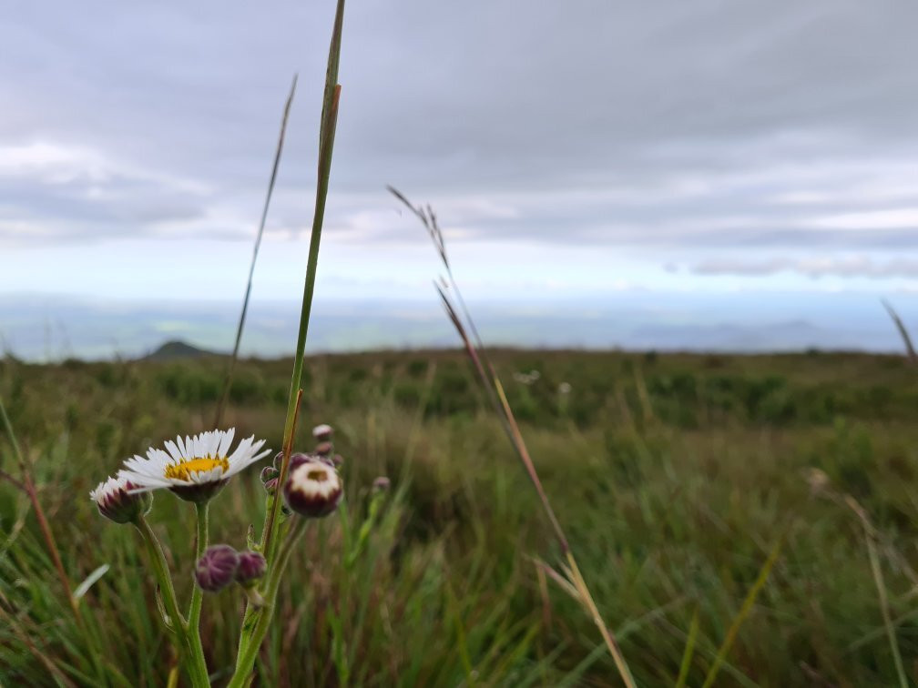 Morro dos Cabritos-Praia Grande必去景点
