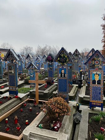 Cimitirul Vesel景点图片