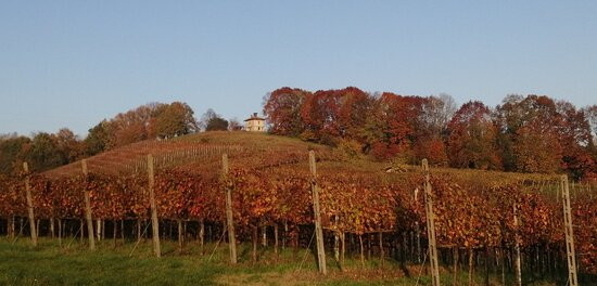 Parco della Collina di San Colombano景点图片