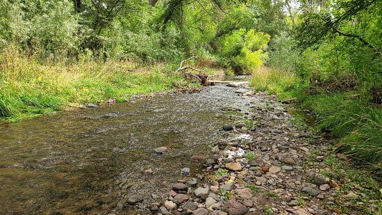 Mimbres River Preserve-Silver City必去景点