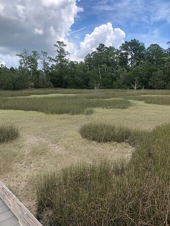 Mount Pleasant Palmetto Islands County Park景点图片