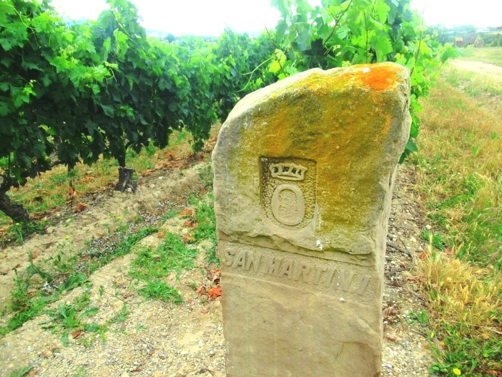 Bodega Torre de Ona-拉瓜迪亚必去景点