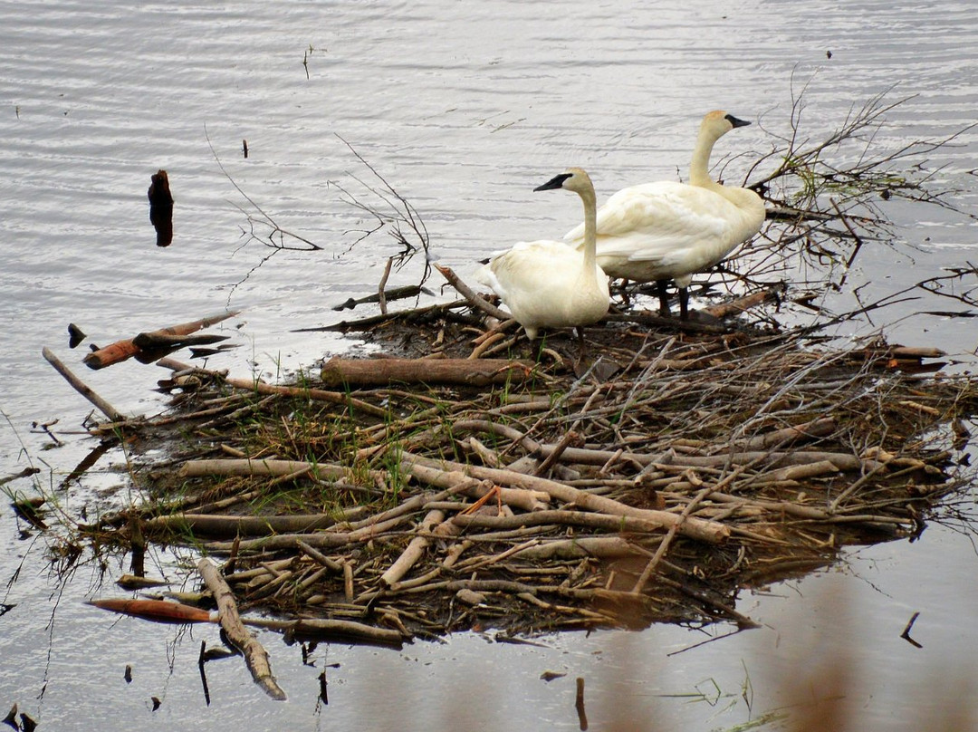 Hurricane Turn-塔尔基特纳必去景点